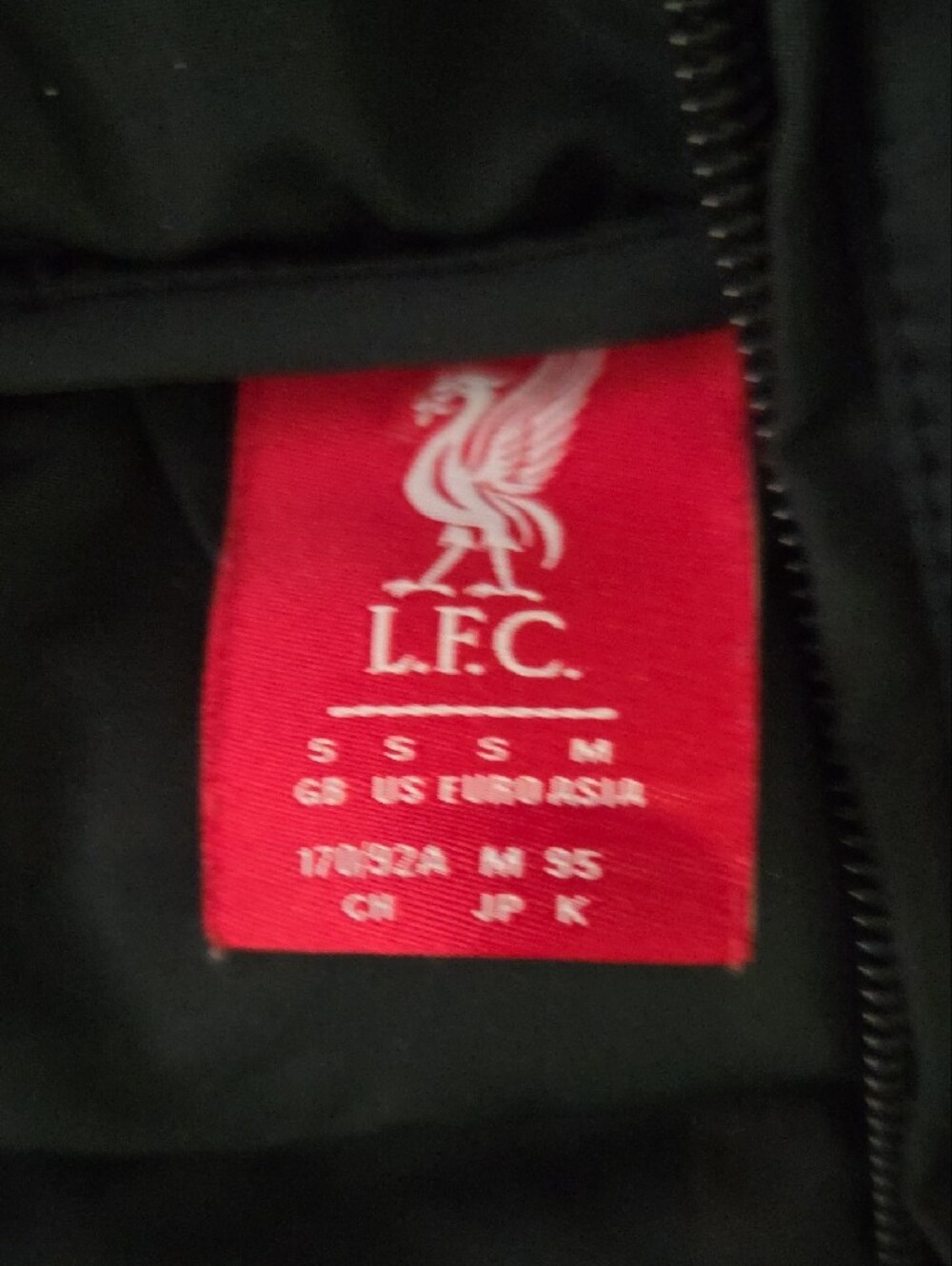 Liverpool Black Hooded Puffer Jacket, Official Liverpool Jacket, S View 2